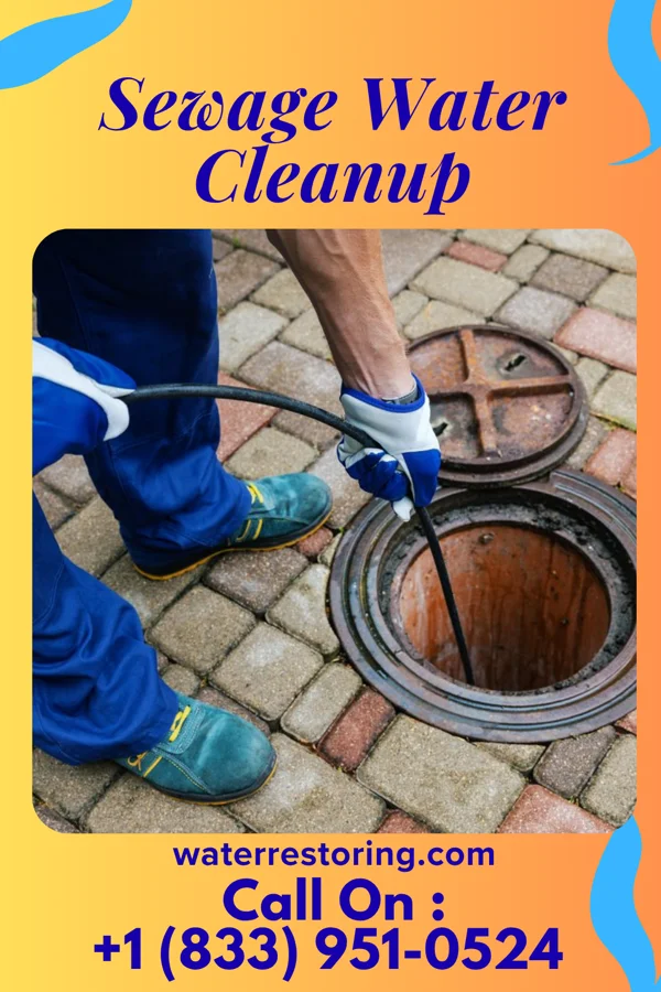 Sewage Water Cleanup in Indian Lake, MO